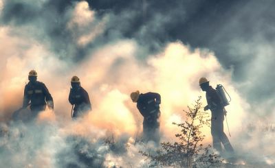 Les bons réflexes pour prévenir les feux de forêts 